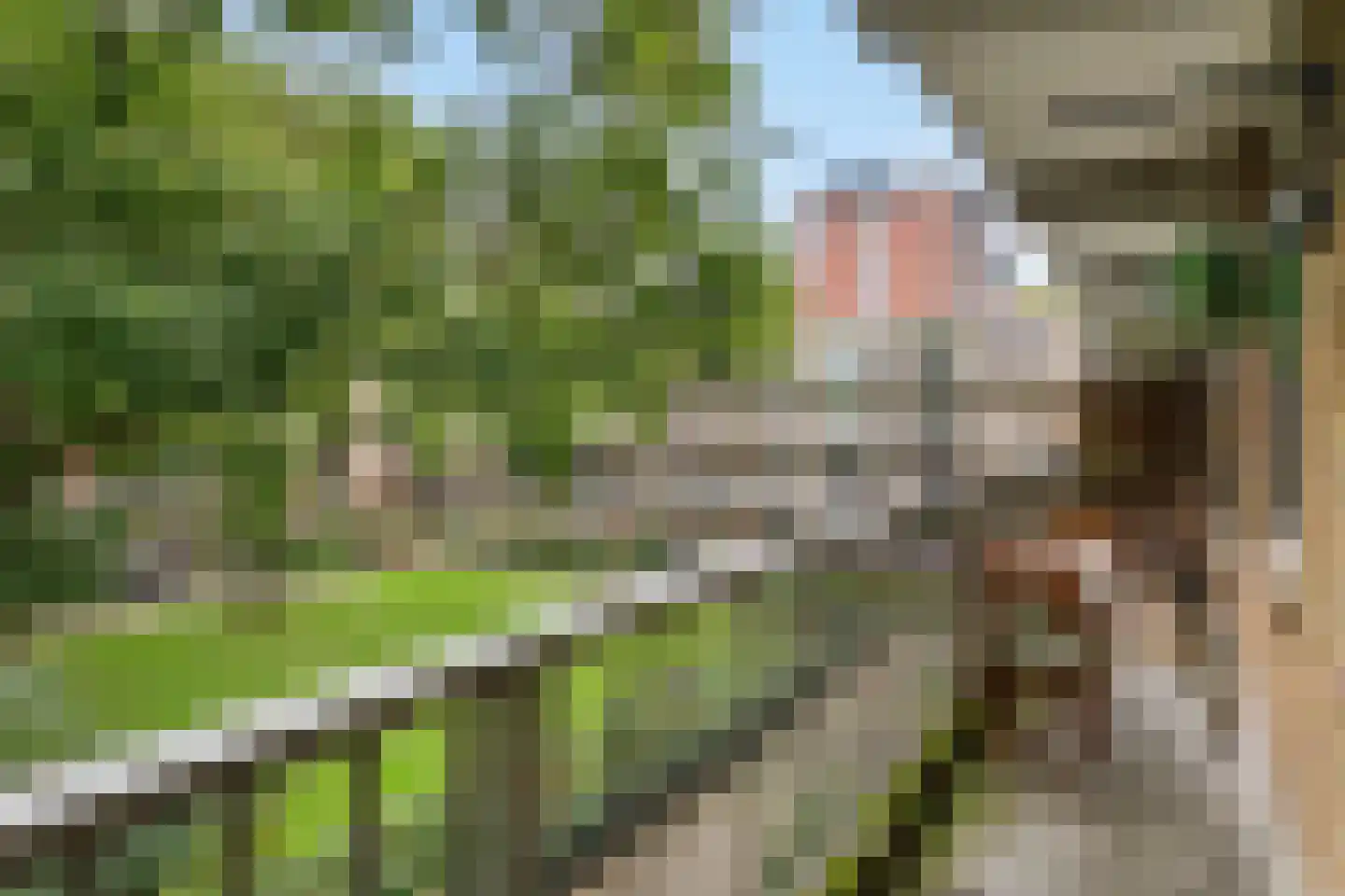 Leeghwaterlaan 159 's-Hertogenbosch thumbnail 25