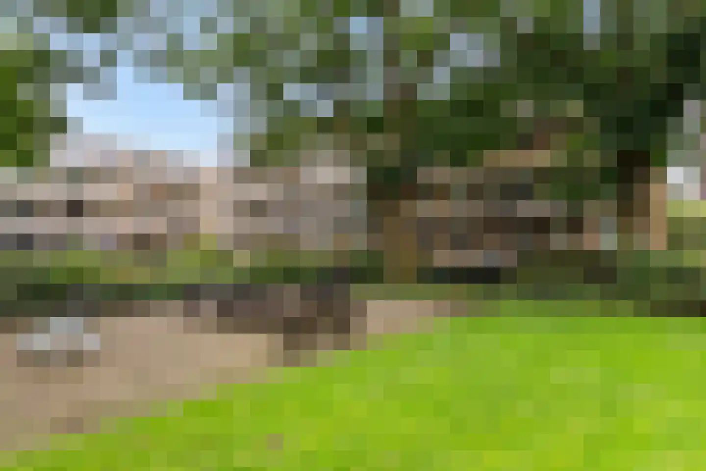 Leeghwaterlaan 159 's-Hertogenbosch thumbnail 29