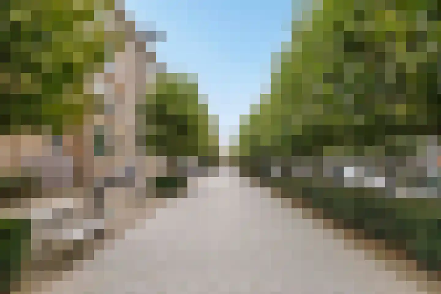 Leeghwaterlaan 159 's-Hertogenbosch thumbnail 36