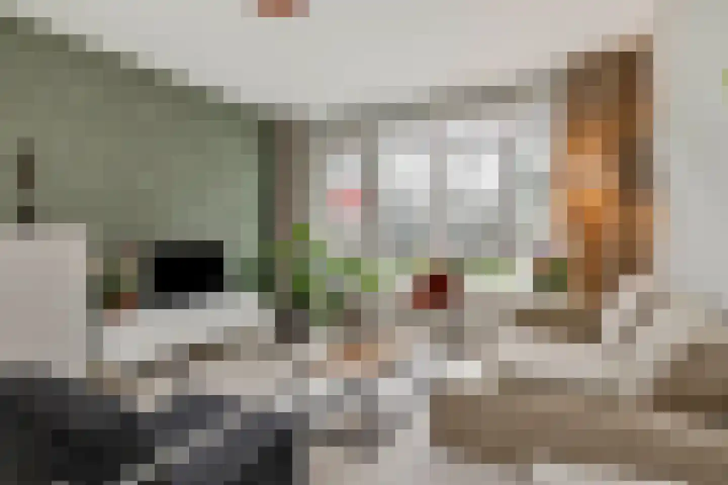 Leeghwaterlaan 159 's-Hertogenbosch thumbnail 8
