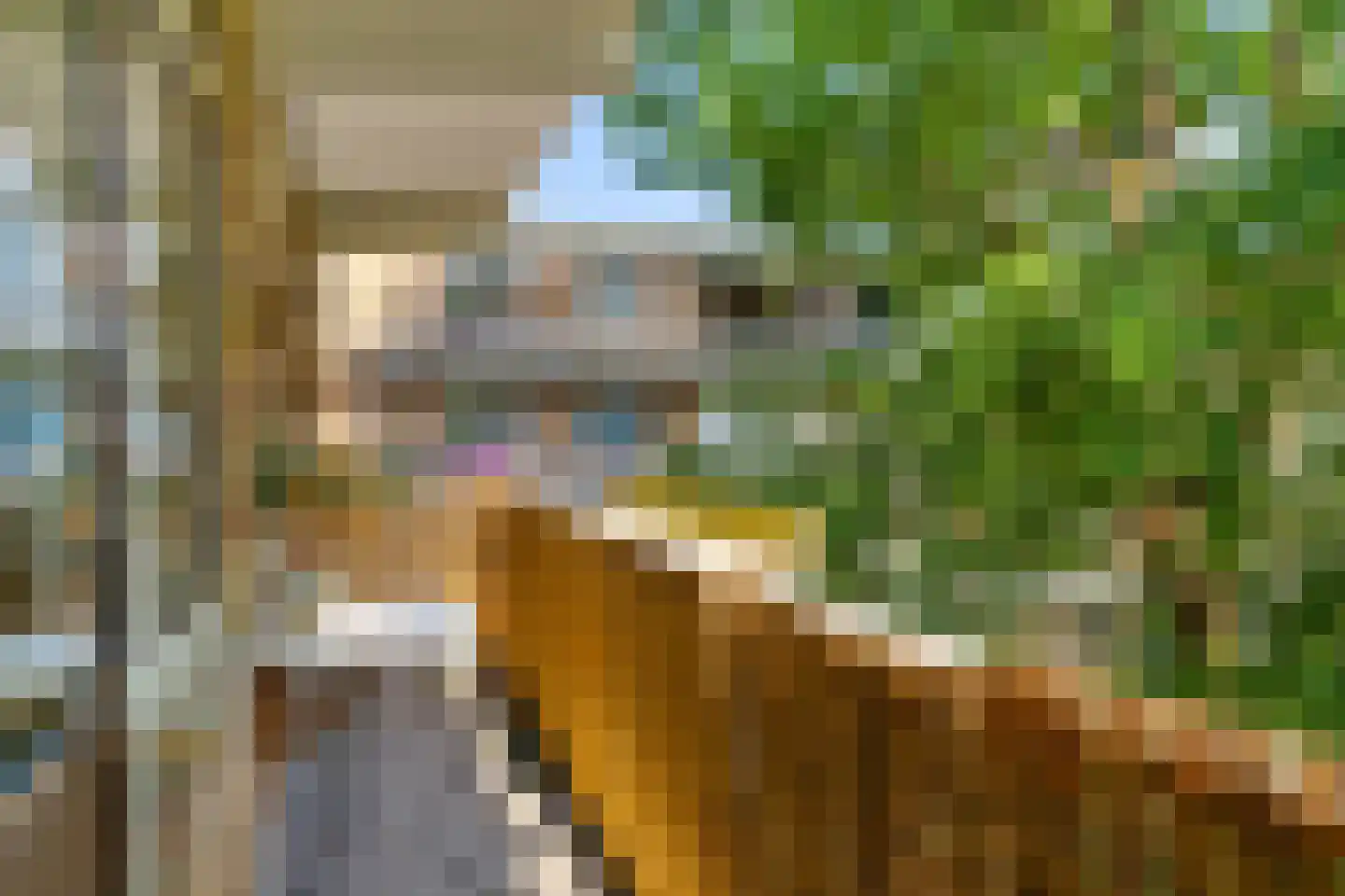 Leeghwaterlaan 167 's-Hertogenbosch thumbnail 19