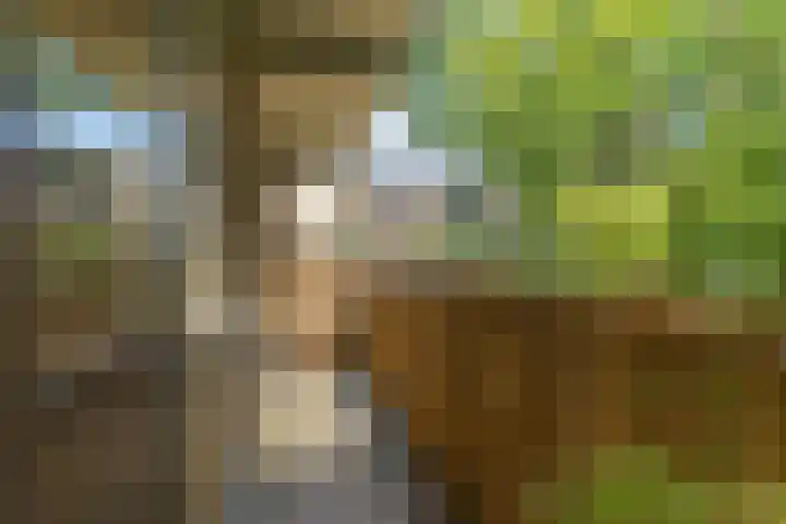 Leeghwaterlaan 167 's-Hertogenbosch thumbnail 22