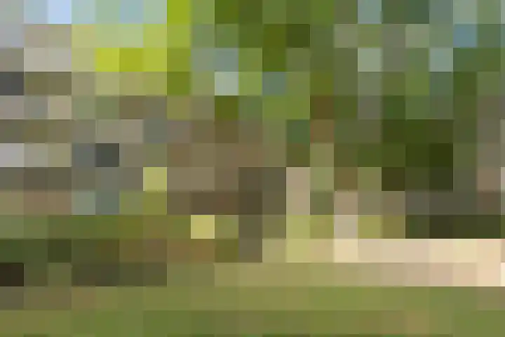 Leeghwaterlaan 167 's-Hertogenbosch thumbnail 24