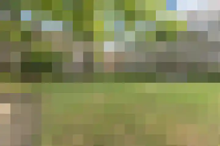 Leeghwaterlaan 167 's-Hertogenbosch thumbnail 25