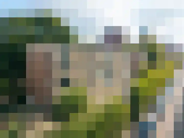 Leeghwaterlaan 167 's-Hertogenbosch thumbnail 29