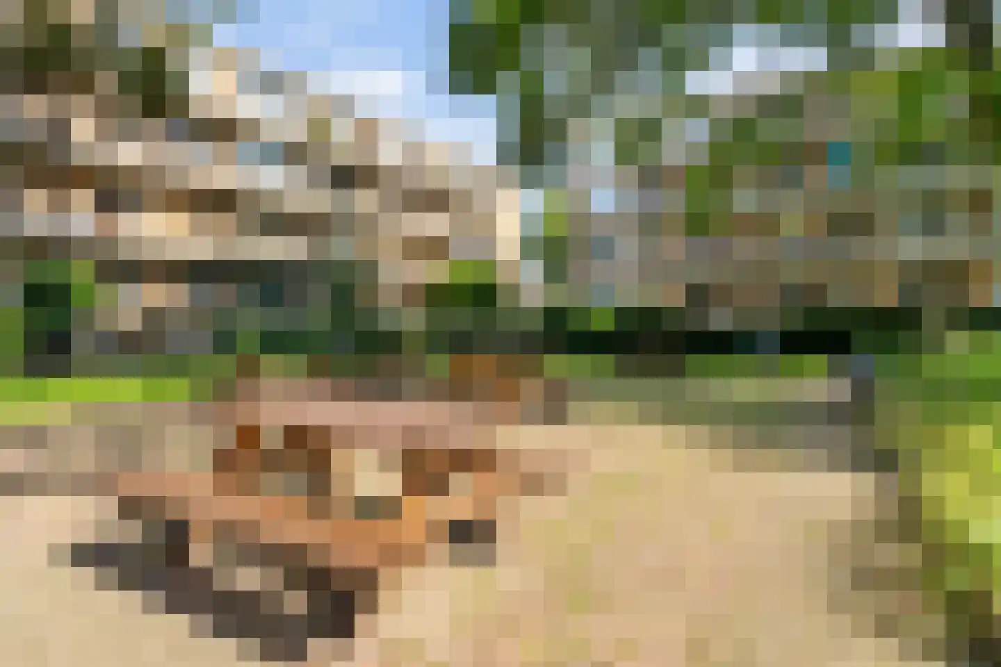 Leeghwaterlaan 167 's-Hertogenbosch thumbnail 34