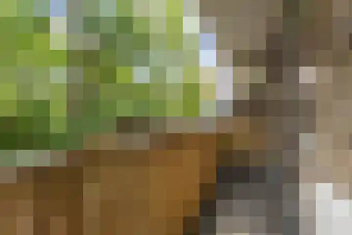 Leeghwaterlaan 167 's-Hertogenbosch thumbnail 5
