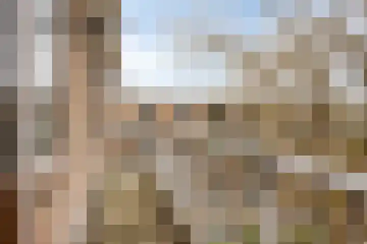 Leeghwaterlaan 169 's-Hertogenbosch thumbnail 15