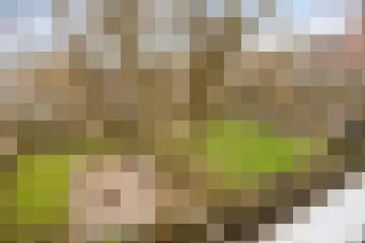 Leeghwaterlaan 169 's-Hertogenbosch thumbnail 16