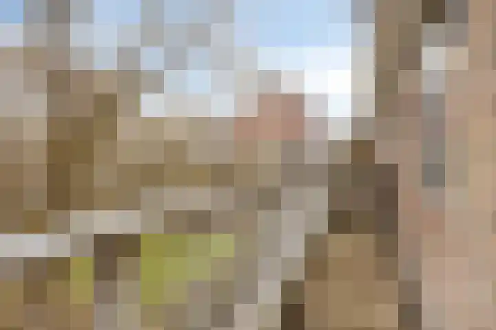 Leeghwaterlaan 169 's-Hertogenbosch thumbnail 17