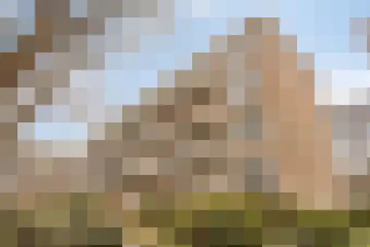 Leeghwaterlaan 169 's-Hertogenbosch thumbnail 21