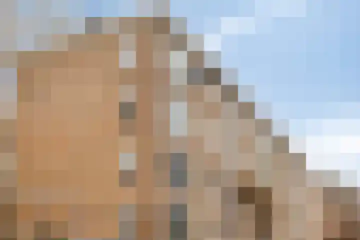 Leeghwaterlaan 169 's-Hertogenbosch thumbnail 24