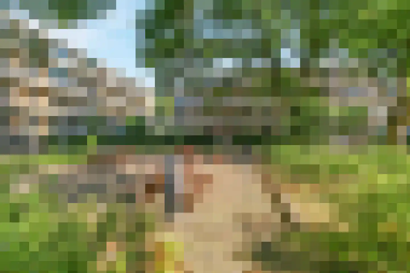 Leeghwaterlaan 169 's-Hertogenbosch thumbnail 30