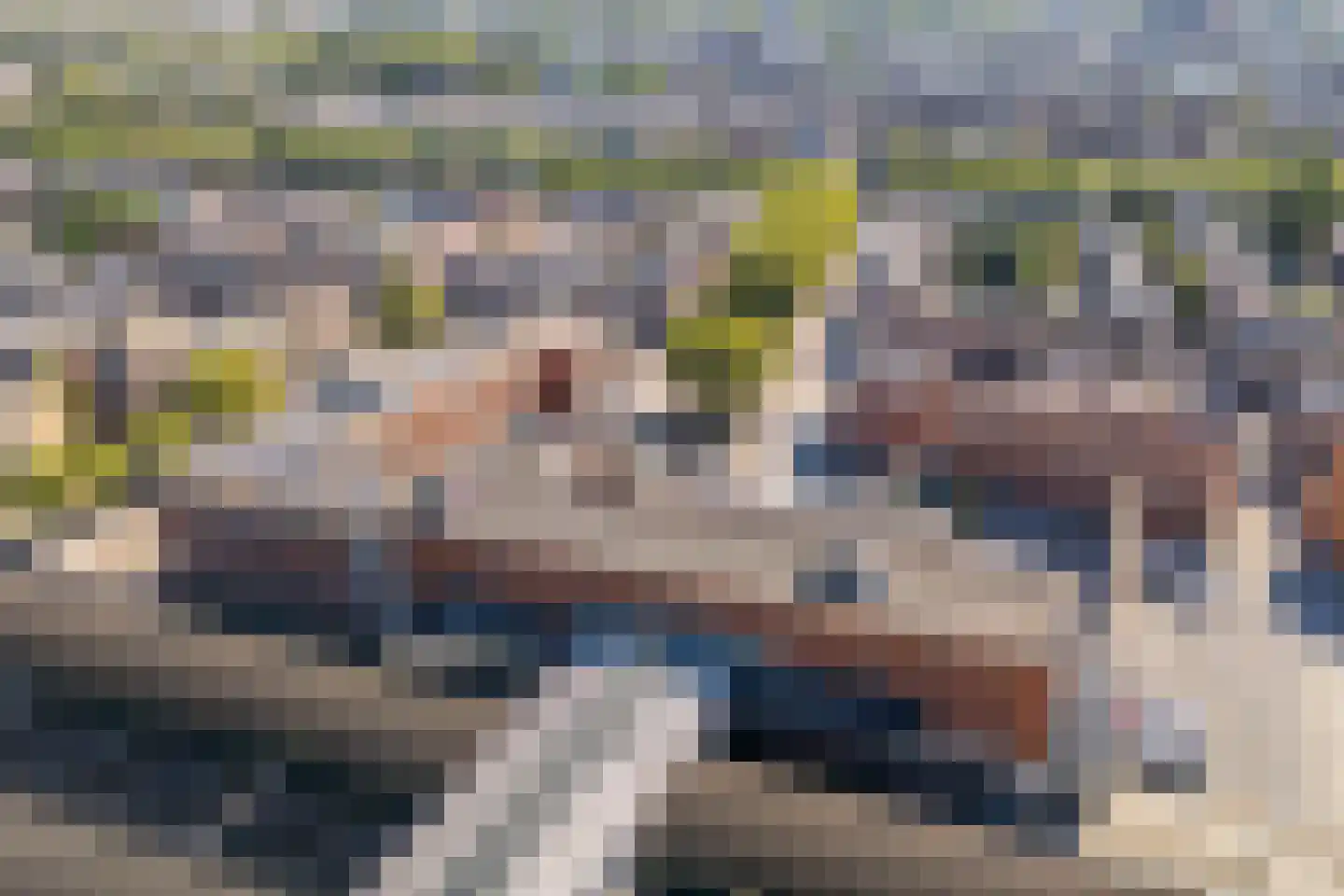 Leeghwaterlaan 169 's-Hertogenbosch thumbnail 36