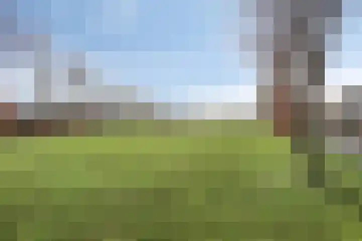 Leeghwaterlaan 20 Deventer thumbnail 31