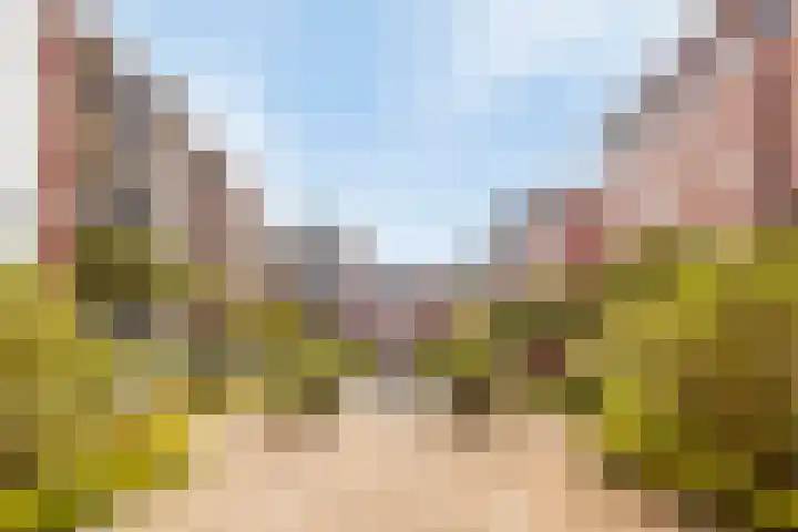 Leeghwaterlaan 21 's-Hertogenbosch thumbnail 24