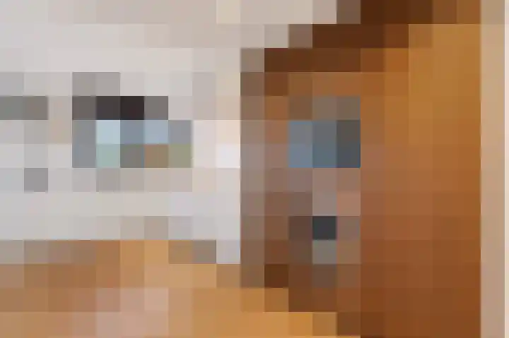 Leeghwaterlaan 26 Zwolle thumbnail 12