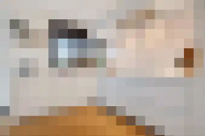 Leeghwaterlaan 26 Zwolle thumbnail 14