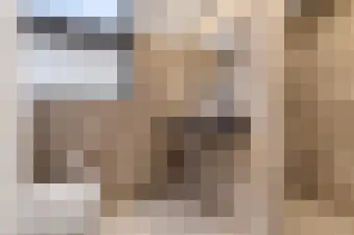 Leeghwaterlaan 26 Zwolle thumbnail 32