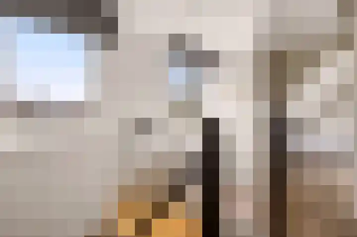 Leeghwaterlaan 26 Zwolle thumbnail 35