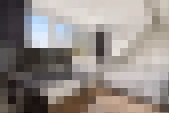 Leeghwaterlaan 26 Zwolle thumbnail 36