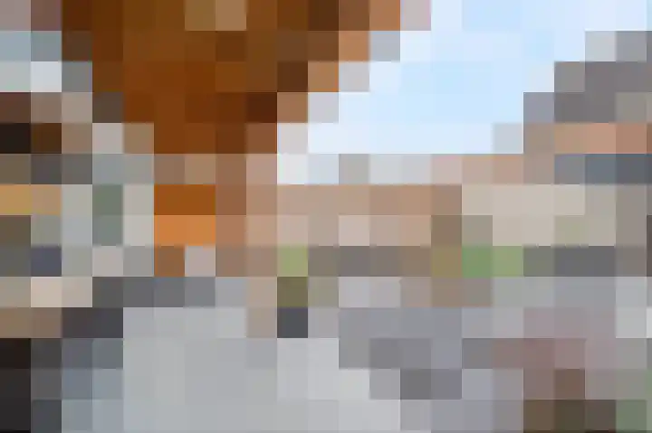 Leeghwaterlaan 26 Zwolle thumbnail 41