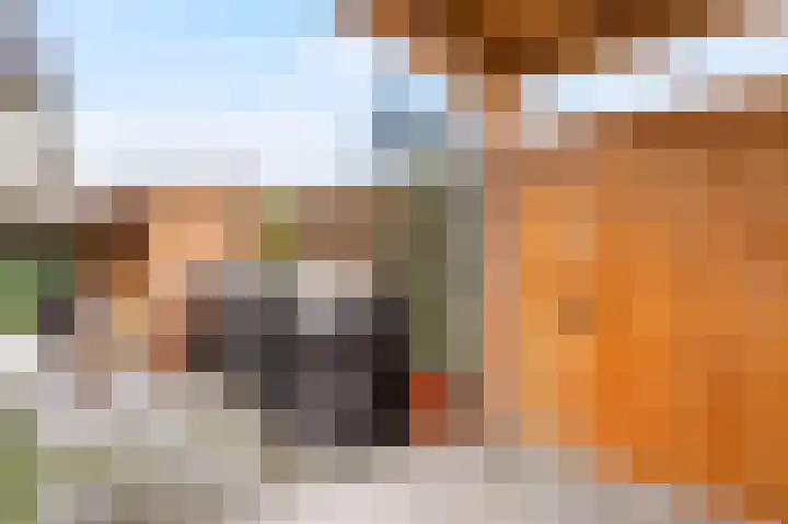Leeghwaterlaan 26 Zwolle thumbnail 44