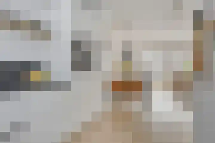 Leeghwaterlaan 41 Deventer thumbnail 11