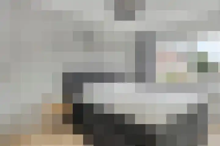 Leeghwaterlaan 41 Deventer thumbnail 19