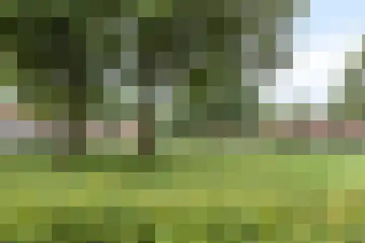 Leeghwaterlaan 41 Deventer thumbnail 33