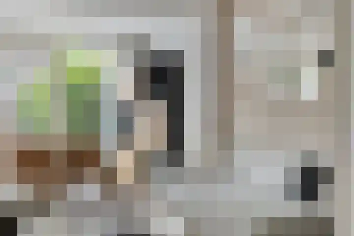 Leeghwaterlaan 41 Deventer thumbnail 5