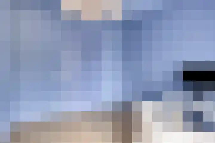 Leeghwaterlaan 62 's-Hertogenbosch thumbnail 33