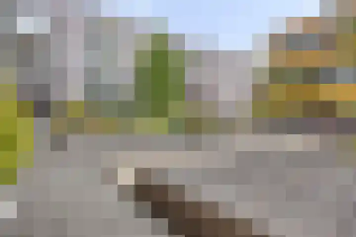 Leeghwaterlaan 62 's-Hertogenbosch thumbnail 43