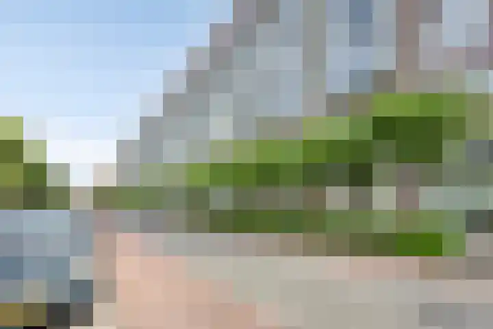 Leeghwaterlaan 62 's-Hertogenbosch thumbnail 5