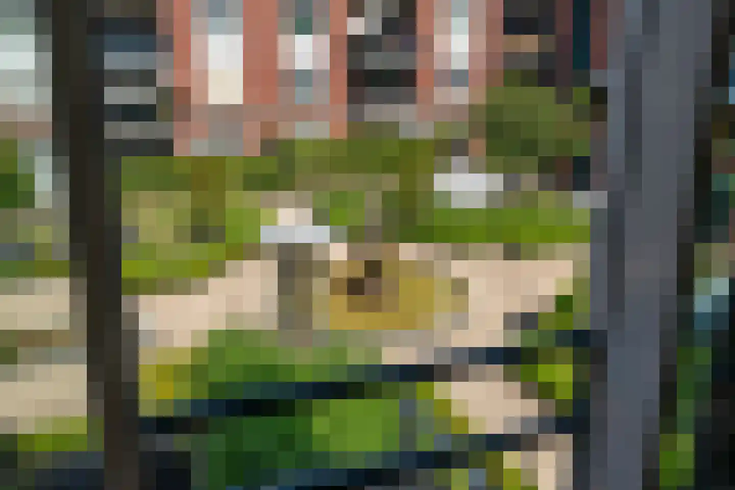Leeghwaterlaan 71 's-Hertogenbosch thumbnail 23