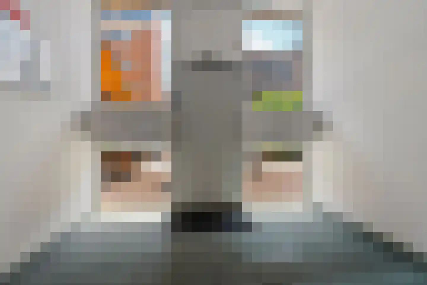 Leeghwaterlaan 71 's-Hertogenbosch thumbnail 6