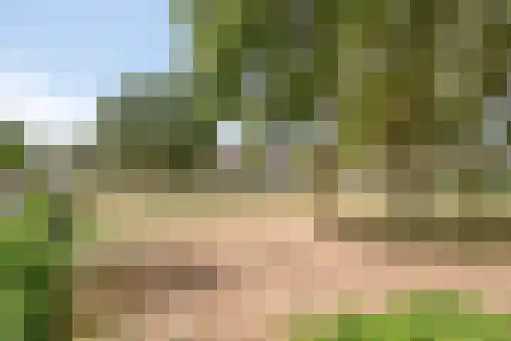 Leeghwaterlaan 74 Deventer thumbnail 26