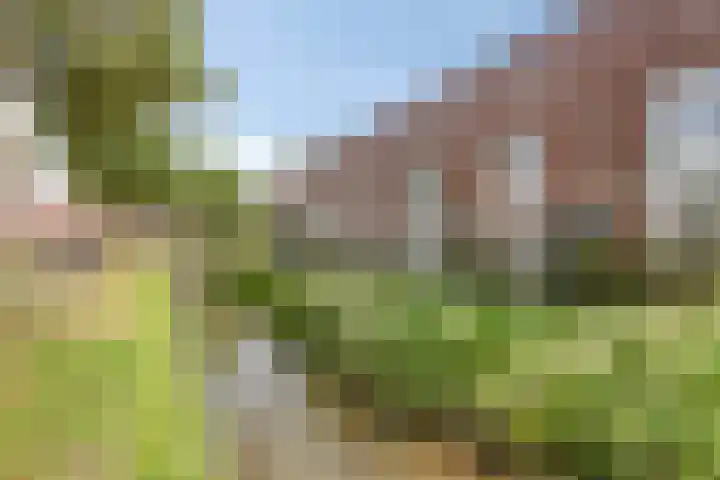 Leeghwaterlaan 74 Deventer thumbnail 30