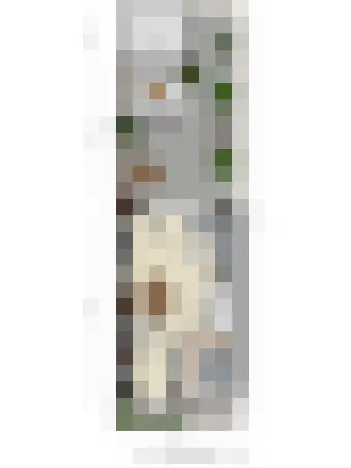 Leeghwaterlaan 74 Deventer thumbnail 37