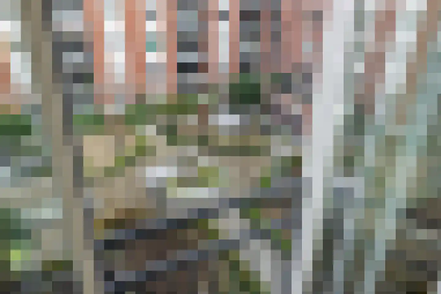 Leeghwaterlaan 77 's-Hertogenbosch thumbnail 9