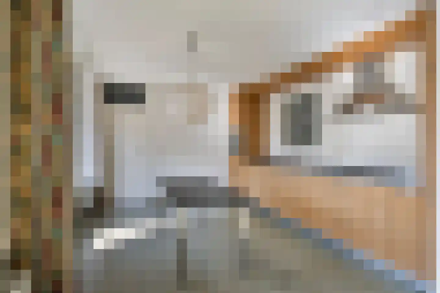 Leeghwaterlaan 79 's-Hertogenbosch thumbnail 7