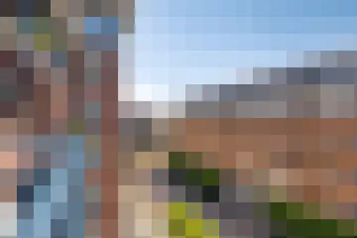 Leeghwaterlaan 83 's-Hertogenbosch thumbnail 25