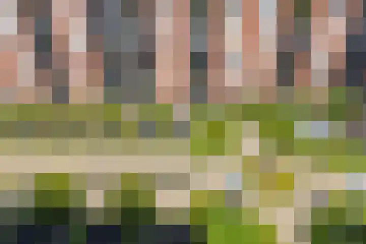 Leeghwaterlaan 83 's-Hertogenbosch thumbnail 27