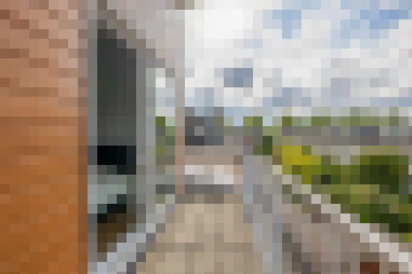 Leeghwaterschans 18 Zoetermeer thumbnail 33