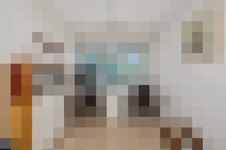 Leeghwaterschans 6 Zoetermeer thumbnail 31