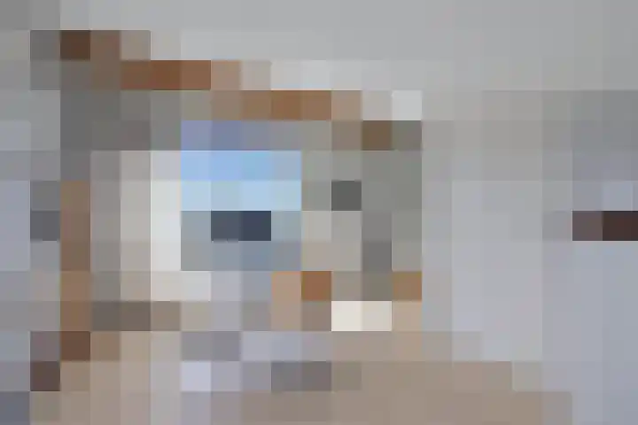 Leeghwaterschans 6 Zoetermeer thumbnail 34