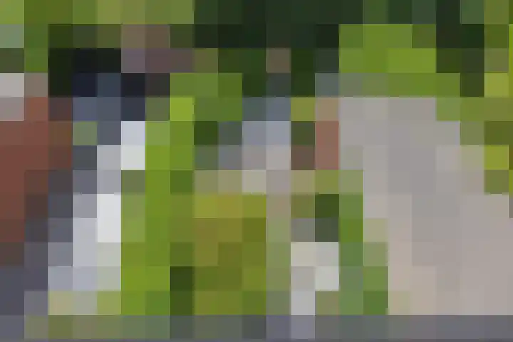 Leeghwaterschans 6 Zoetermeer thumbnail 45