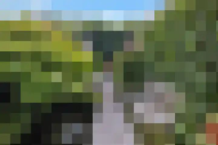 Leeghwaterschans 6 Zoetermeer thumbnail 48