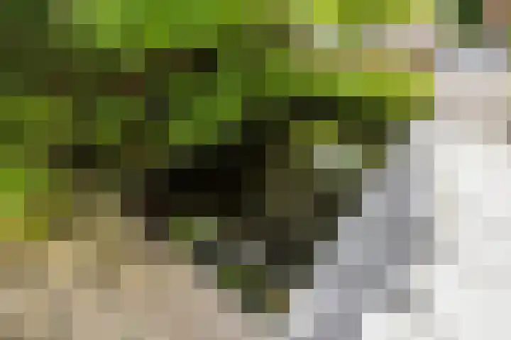 Leeghwaterschans 6 Zoetermeer thumbnail 54