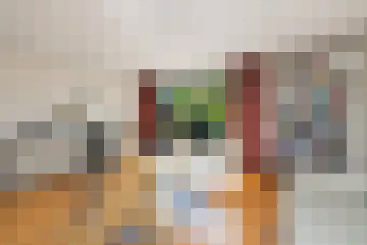 Leeghwaterschans 6 Zoetermeer thumbnail 9